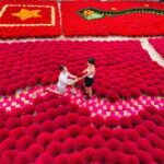 Half Day trip to Incense & Hat Villages with Train Street - The Experience in Detail: Craftsmanship and Local Life