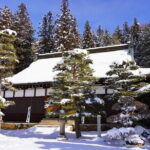 Half Day Walking Tour Takayamas Hidden Gems and Temple Walk - What the Tour Includes and What to Consider