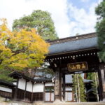 Half-Day Walking Tour: Takayama's Hidden Gems & Temple Walk - Practical Details and Value