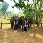 Half-day with CHIANGMAI ELEPHANT CARE program (12pm-6pm.) - Detailed Breakdown of the Tour Experience