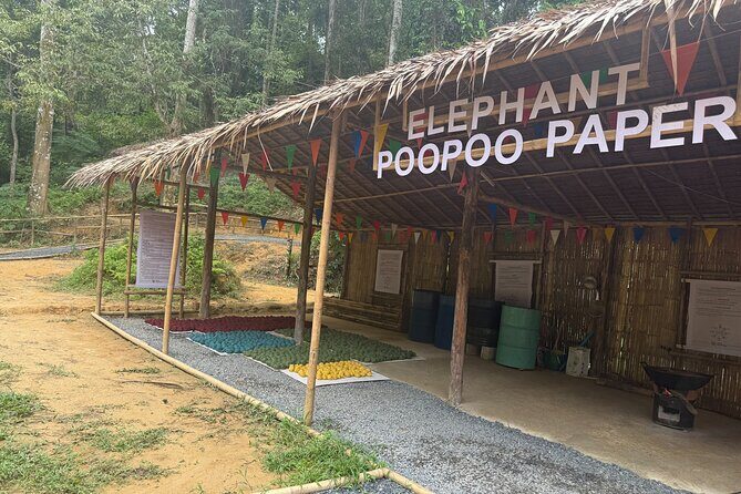 Half day with Elephants at Patong Elephant Hug No ride No trick - What Makes This Tour Stand Out?