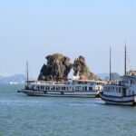 Halong Bay Cruise Day Trip: Visit Thien Cung Cave, Kayaking & Lunch - best price - Who Will Love This Tour?