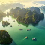 Halong by Air, Hai Phong by Flavor: Day Trip from Hanoi - What to Expect During the Seaplane Experience