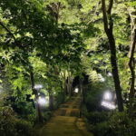 Hangzhou : Cool Morning/Night Baoshi Mountain Guided Tour - What Makes This Tour Special?