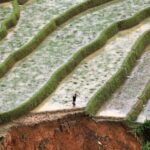 Hanoi: 3-Day Adventure Rice Terraces and Fansipan Summit - Day Two: From Mu Cang Chai to Sapa and Mt. Fansipan