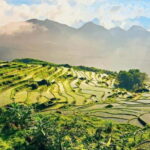 Hanoi: 3-Day Pu Luong, Ninh Binh Excursion & Guide, Homestay - What to Expect and Practical Tips