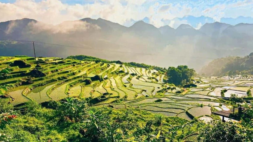 Hanoi: 3-Day Pu Luong, Ninh Binh Excursion & Guide, Homestay - What to Expect and Practical Tips