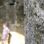 Hanoi Eco Tour: Ba Vi National Park Wonders & Tea Plantation - An In-Depth Look at the Tour