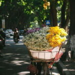 Hanoi: Half-day Private City Tour - What’s Included and What to Consider