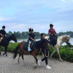 Hanoi Horseback Riding Tour - Exclusive Experience - The Experience in Practice: What Reviewers Say