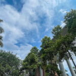 Hanoi: Museum of Ethnology and Quang Phu Cau Incense Village - Why This Tour Offers Good Value