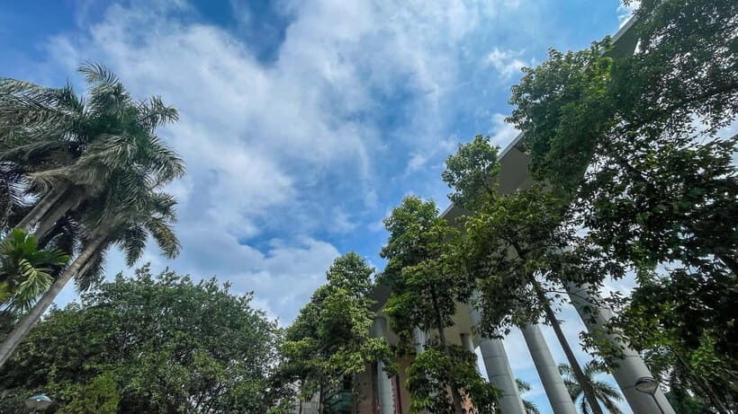 Hanoi: Museum of Ethnology and Quang Phu Cau Incense Village - Why This Tour Offers Good Value