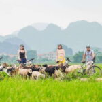 Hanoi: Ninh Binh, Hoa Lu, Tam Coc with Hanoi food tour - Discovering Hanoi’s Hidden Food Scene: The Street Food Tour