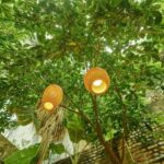 Hanoi: Rose Kitchen: Pho/Bun Cha/Nem+ Free Egg/ Salt Coffee - Exploring the Details of the Hanoi Cooking Class at Rose Kitchen