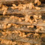 Hanoi: Van Phuc Silk Village Half-Day Tour with Pickup - What the reviews say