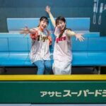 Hanshin Koshien Stadium Museum Entry Ticket & Souvenir Gift - Exploring the Main Areas