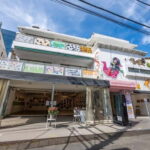 Harajuku: Art Gallery Tour with Okonomiyaki Cooking Lesson - Why This Tour Works Well