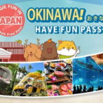 Have Fun in OKINAWA Pass (1 Week Free Pass) - Deep Dive Into the Attractions and Activities