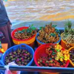 HCMC: Mekong Delta 2-Days My ThoBen Tre & Cai Rang Market - A Detailed Breakdown of the Mekong Tour Experience