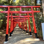 Head to the healing cave, Himeji hidden land e-bike and hike - Practical Details and What to Expect