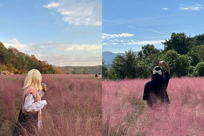 Herb Island and Sanjung Lake and Bidulginang Water Falls - Practical Tips for the Tour