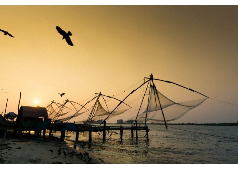 Heritage & Cultural Walk of Kochi (2 Hours Guided Tour) - What To Expect from the Experience