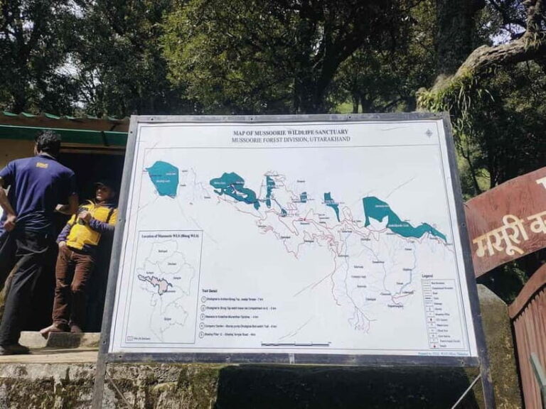 Hidden Gem of Mussoorie: Benog Hill Serenity Trek - The Itinerary in Detail