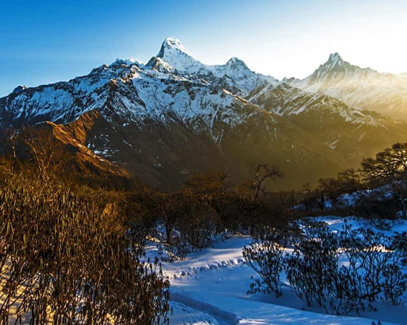 Hidden Himalayas: 8-Day Mohare Danda Trek via Nagi Village - Daily Breakdown of the Journey