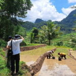 Hidden Waterfall & Selogriyo Rice Terraces Trek from Yogyakarta - A Closer Look at the Itinerary