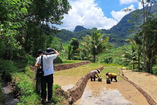 Hidden Waterfall & Selogriyo Rice Terraces Trek from Yogyakarta - A Closer Look at the Itinerary