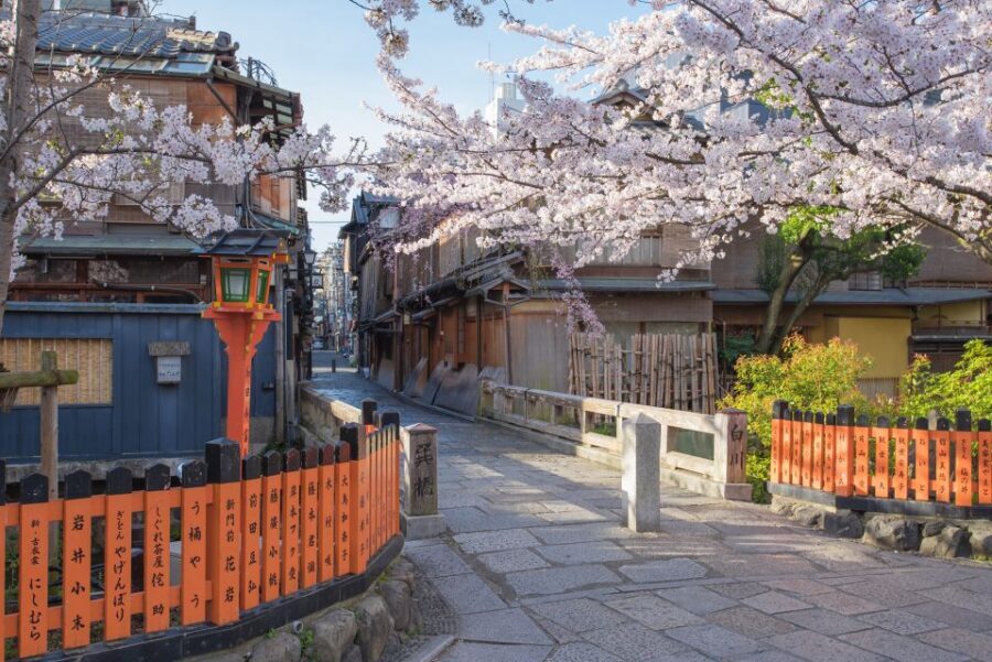 Higashiyama | Kyoto: Sakura Season Private Rickshaw Tour - Who Might Want to Consider Other Options