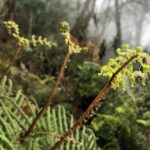 Hiking Fansipan in 1 day - The Itinerary: Breaking Down the Day’s Adventure