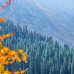 Hiking wonderland Ala Archa National Park - The Practicalities and Logistics