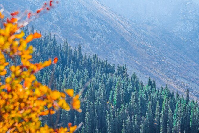 Hiking wonderland Ala Archa National Park - The Practicalities and Logistics