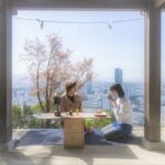 Hiroshima: Morning Hiking Tour with Open-air Tea Ceremony - The Itinerary in Detail