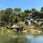 Hiroshima's Heart: 4-Hr Private Storytelling Tour - Practical Details and Experience Value