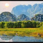 Ho Chi Minh: 2 Days Private Nam Cat Tien National Park - What Makes This Tour Special?