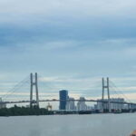 Ho Chi Minh City: Can Gio Mangrove & Wildlife Speedboat Tour - Exploring the Can Gio Mangrove & Wildlife Speedboat Tour