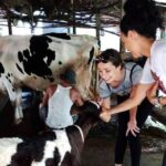 Ho Chi Minh City Full-Day Farm trip with Healthy Cooking Class - An In-Depth Look at the Experience