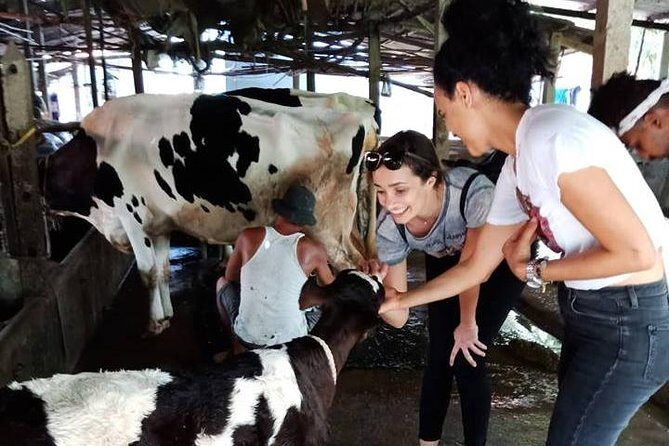 Ho Chi Minh City Full-Day Farm trip with Healthy Cooking Class - An In-Depth Look at the Experience