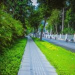 Ho Chi Minh City Half-day Tour - Why This Tour Offers Good Value