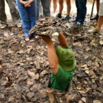 Ho Chi Minh: City Tour Full Day Shore Excursion - The Practical Details