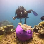 Hoi An: Cham Island Discover Scuba Dive for Beginner 1-Day - What Sets This Tour Apart