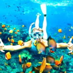 Hoi An: Cham Island Snorkeling Adventure & Seafood Lunch - Practicalities and Tips for Your Trip