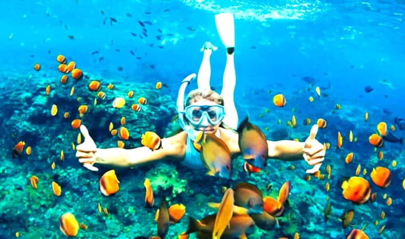 Hoi An: Cham Island Snorkeling Adventure & Seafood Lunch - Practicalities and Tips for Your Trip