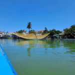 Hoi An City tour -Basket boat ride in the Coconut forest - The Water Coconut Forest and Basket Boat Ride
