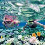 Hoi An/Da Nang: Cham Islands Snorkeling by Speedboat w Lunch - Why the Reviews Matter