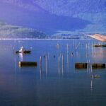 Hoi An - Danang - Hue: Private Car via Hai Van Pass and More - Why This Tour Works for You