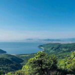 Hoi An: Hai Van Pass And Lang Co Beach Scenic Discovery - The Experience From a Travelers Perspective