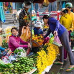 Hoi An: Half-day Market To Kitchen Journey - An In-Depth Look at the Hoi An Market to Kitchen Tour
